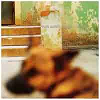 洋楽 PAN SONIC/KESTO (234.48:4)4CD BOX Pan Sonic – Kesto (234.48:4) | Releases | Discogs